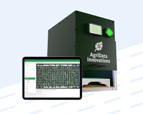 Germination analysis solution for greenhouses - Lemberg Solutions Case Study - Teaser.png